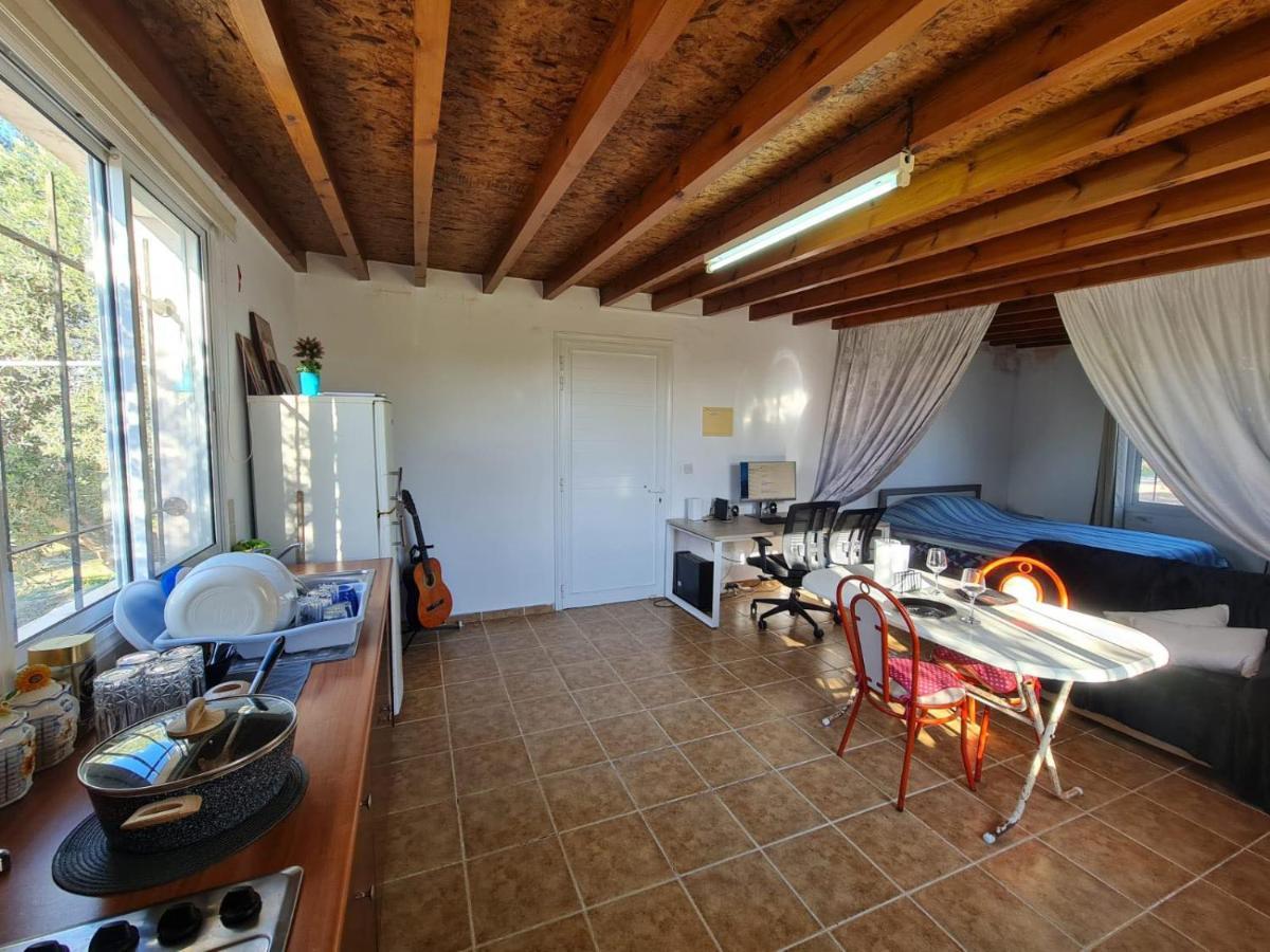 Spacious Studio In Yeroskipou Koloni Экстерьер фото