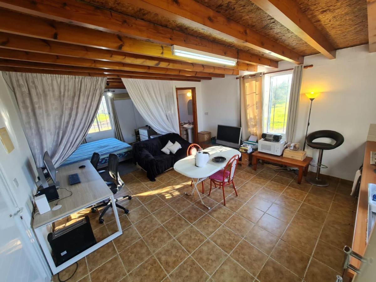 Spacious Studio In Yeroskipou Koloni Экстерьер фото