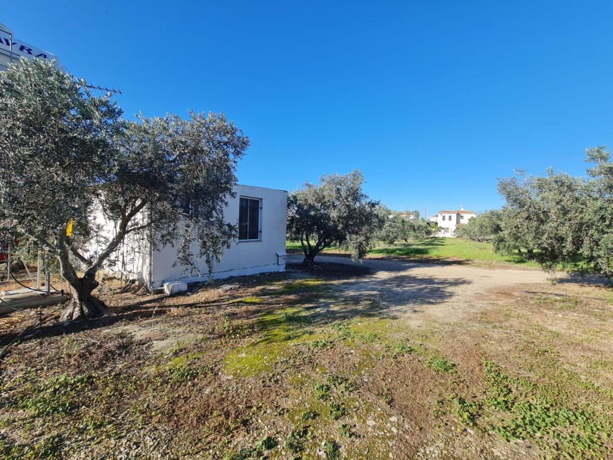 Spacious Studio In Yeroskipou Koloni Экстерьер фото